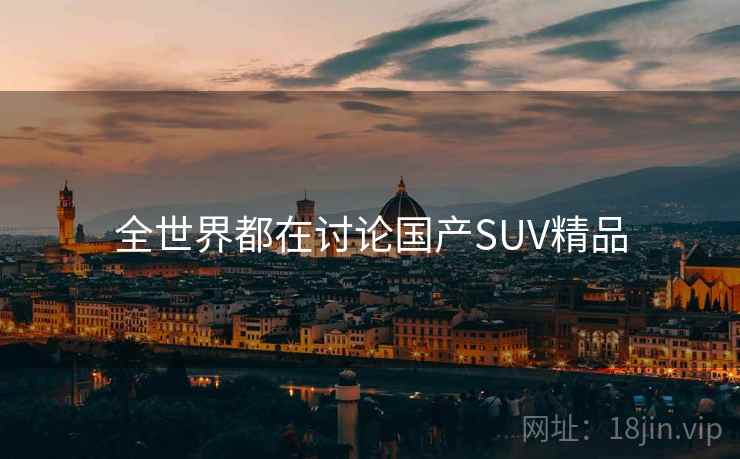 全世界都在讨论国产SUV精品  第2张